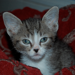 lboeder's profile picture. I do communications @PewTrusts, but my views are my own.