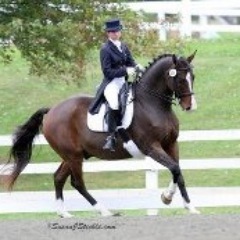 Here at POM Dressage we live our dreams by allowing our hobby with horses to create peace, guidance, awareness and balance. Owner & Trainer, Jaclyn Sicoli.