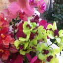 eddy jean-michel - @cfoster974 - Twitter