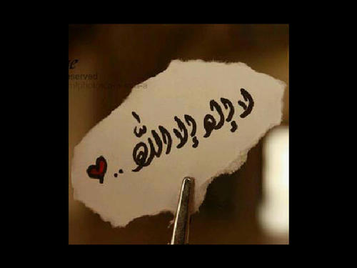 كلما أردتُ أنْ أكتبَ عنْ أُمّيْ .. 

أدركتُ بأنَّني ... ( أُمِّيٌّ )  !!