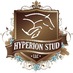 Hyperion Stud (@hyperionstud) Twitter profile photo Hyperion Stud (@hyperionstud) Twitter profile photo