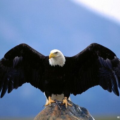 Eagle S Wings Food Pantry Eagle S Wings Food Pantry
