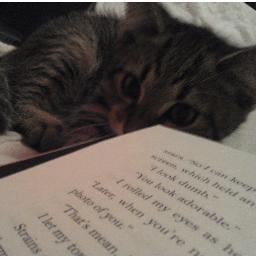 Paisley_Lyle's profile picture. im ugly...just kitten im purrfect :) follow me right meow