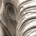 Kerri wright - @Lilcrazyala - Twitter