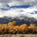 Adam Bedwell - @BedwellNHS - Twitter