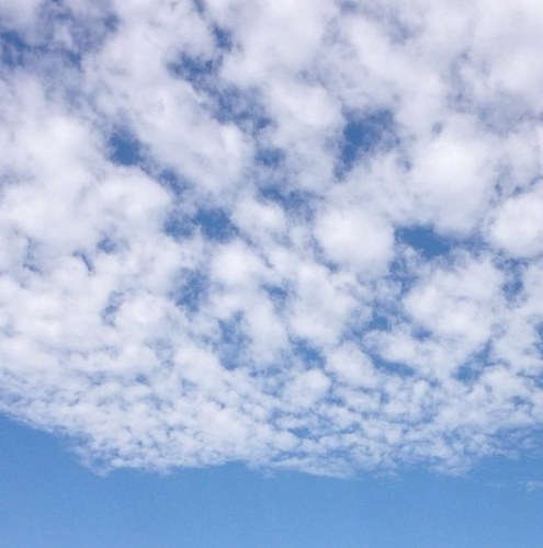 senba_TR's profile picture. 未だ知り得ずの小生、歴史的名園の中では際立って自由な規律の偕楽園近くに住んでいます。