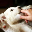 Alvin Olson - @AlvinOlson2 - Twitter