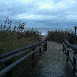 SC living. 
💙blue heart in a red state.
FACTS matter. 
liars and cheaters are assholes.
Widow. remarried. dog lover.