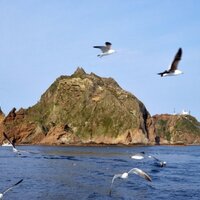 정장훈 (@jjhun411) 's Twitter Profile Photo