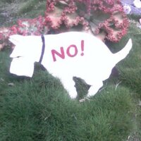 Jeff (@wordonthebranch) 's Twitter Profile