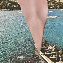 katzmeows's profile picture. i found love in a cat's asshole