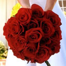 Red as a rose