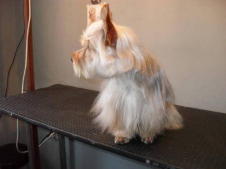 CondeAljeldi's profile picture. 