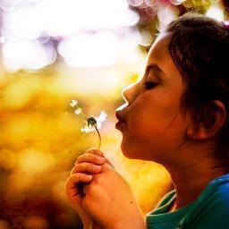 modausall's profile picture. 