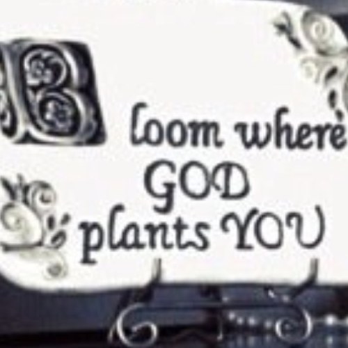 SoyPoderosa's profile picture. No need for noise... I'M PROTECTED