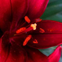 supergoo82's profile picture. 