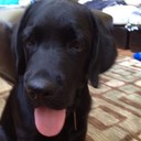 Brent Mathews - @Scalded_Dawg - Twitter