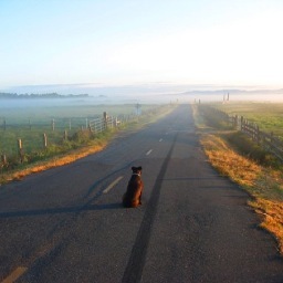 EOcreations's profile picture. Hand-made WordPress themes & HTML treats ~ Built with Love ~ Powered by Curiosity