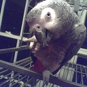 Sage Johnson - @sagefish1 - Twitter