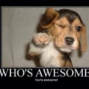 Zach Noble - @NobleZach - Twitter