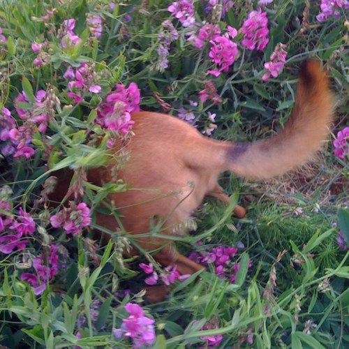 landongentry's profile picture. Embedded Software Engineer Helicopter Pilot Wine and Cheese Fiend