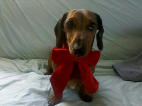 nachenyc's profile picture. 