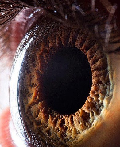 27Farruko's profile picture. 