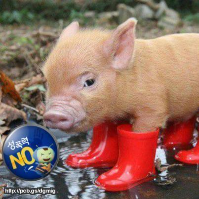 haenesy's profile picture. 