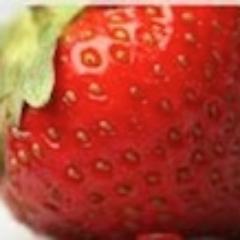 SimpleCMSme's profile picture. With Simple CMS even a static website can be quickly transformed into something dynamic and easy to maintain.