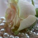 CaSandra Carter - @ladycmc - Twitter