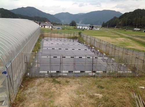 再生可能エネルギー 大賛成 原発 大反対 バブル世代です。
