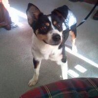 Dan Kelly (@mlmmucho) 's Twitter Profile