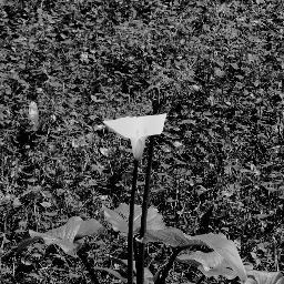 Daveq90's profile picture. 