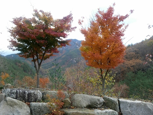 Drwho68's profile picture. 종교 마케팅. 일베충. 자바국. 답없는 안신병자는 블락입니다.
이재명 지지계정 언팔 합니다.