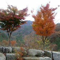 바다로 가자 (@drwho68) 's Twitter Profile