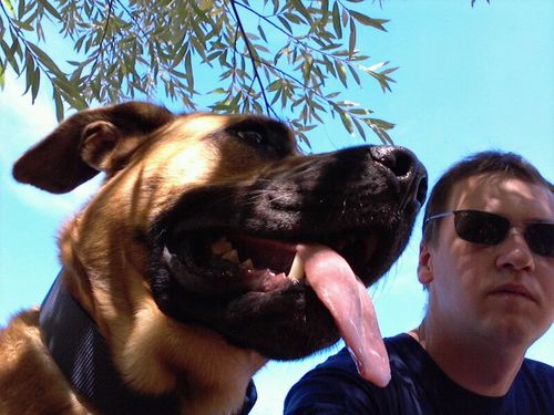 Bernd_Seelgen's profile picture. 