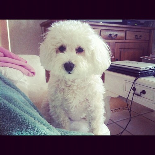 naumch1k's profile picture. Анжи - Спартак трансляция