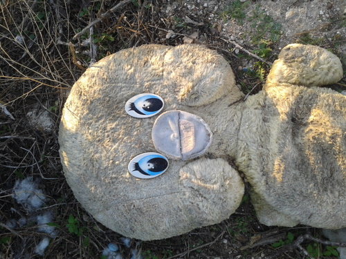 nachovigoo's profile picture. 