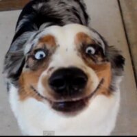 Lieuwe de Vries (@lieuweaip) 's Twitter Profile Photo Lieuwe de Vries (@lieuweaip) 's Twitter Profile Photo