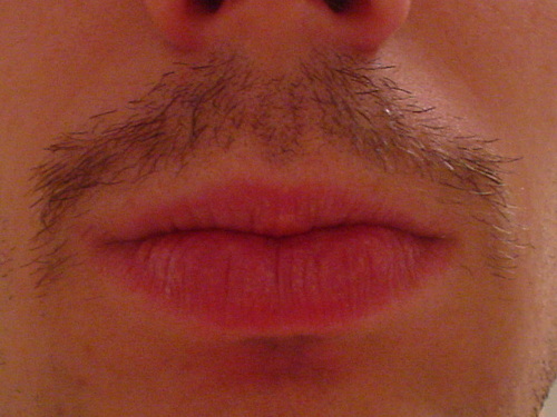 slewis4's profile picture. 