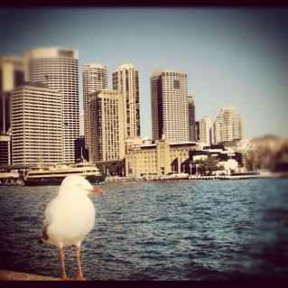 Xofwhivpositive's profile picture. Fly high forever....