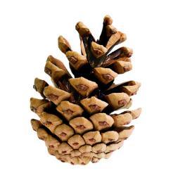 CPG_Breckland's profile picture. East Anglia's leading environmentally friendly printer. ISO 9001, ISO 14001, FSC accredited and EMAS applied for. Previously known as PrintPal & PrintExhibitor.