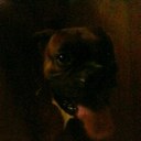 aj - @aj_stahl - Twitter