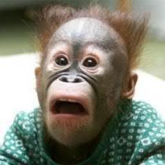 baalbek2012's profile picture. Брат близнец Бориса Джонсона