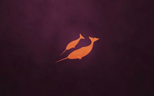 Tamamen özgür ve ücretsiz yazılımların kullanıcılara tanıtılmasını amaçlayan bir twitter hesabıdır.. şimdilik beklemede kalınız...