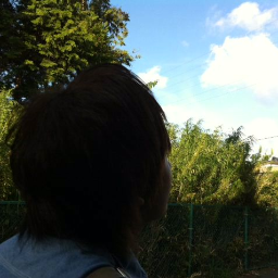 Ponkotsu_Moai's profile picture. 