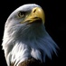 Al Mouraqeb (@almouraqeb) Twitter profile photo