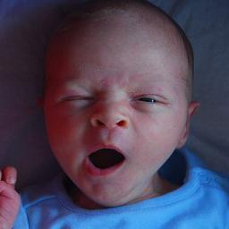 miloshdo's profile picture. 