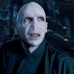 vinovatvolandem's profile picture. #виноватволандеморт