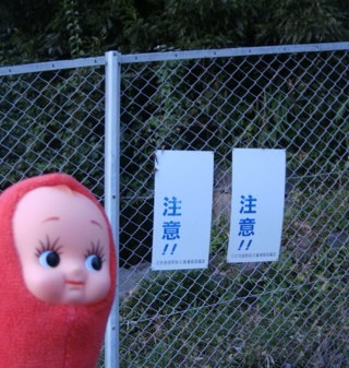Twitteruju spíš pro sebe než pro někoho dalšího. （´・ω・｀）…右と左がわかりません。